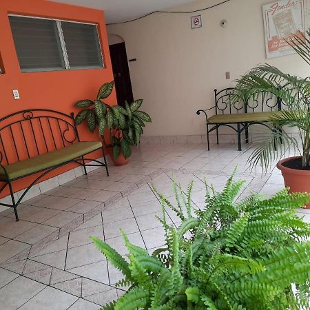 Green Monkey Hostel Flores Exterior photo