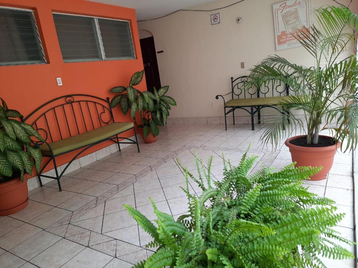 Green Monkey Hostel Flores Exterior photo